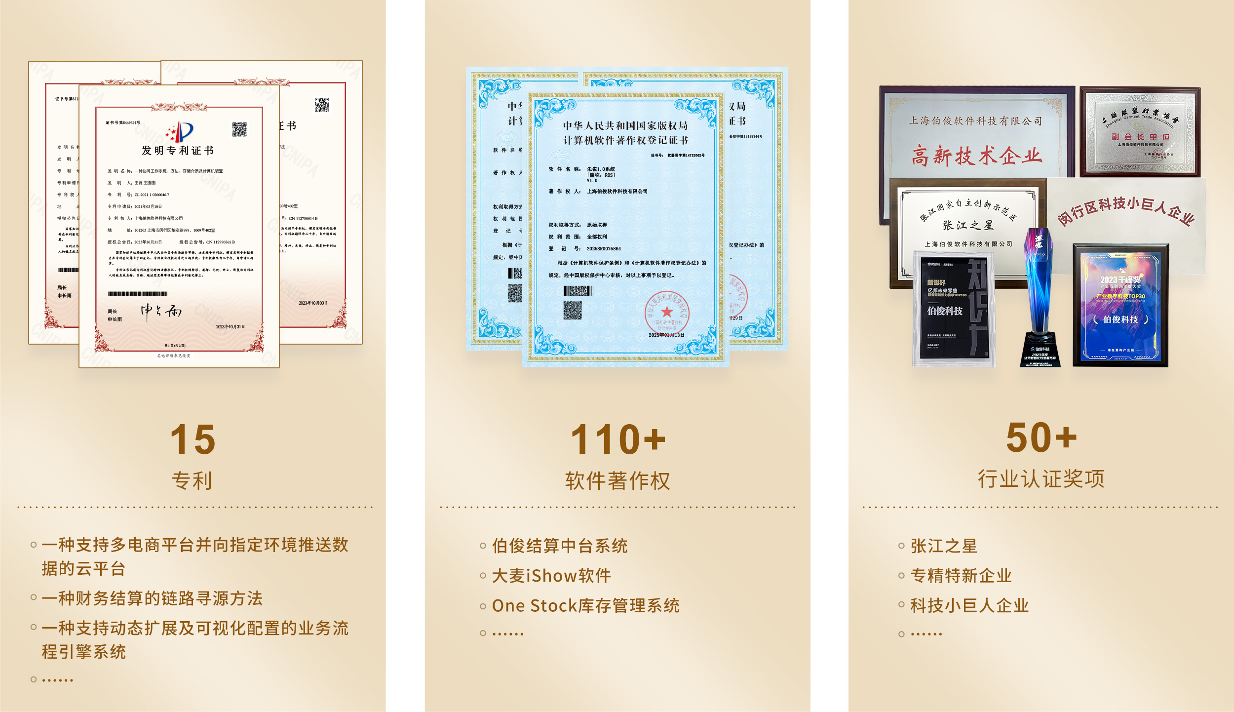 15项专利，110+软件著述权